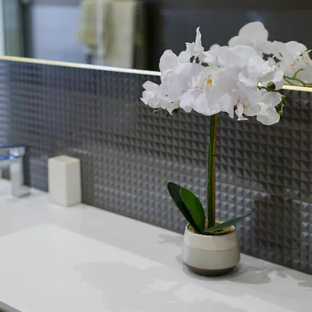 Appartement avec clim et terrasse Appartement Antibes