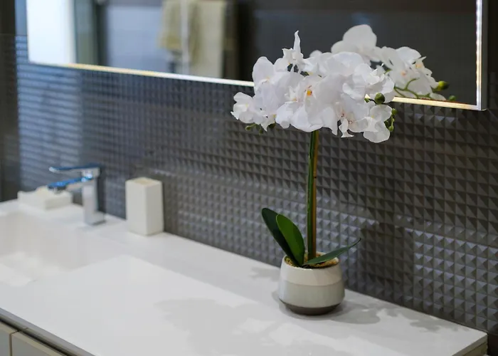 Avec Clim Et Terrasse Daire